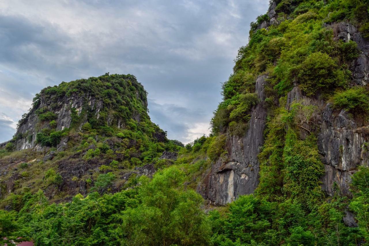 Phong Nha Orient Hotel Bagian luar foto