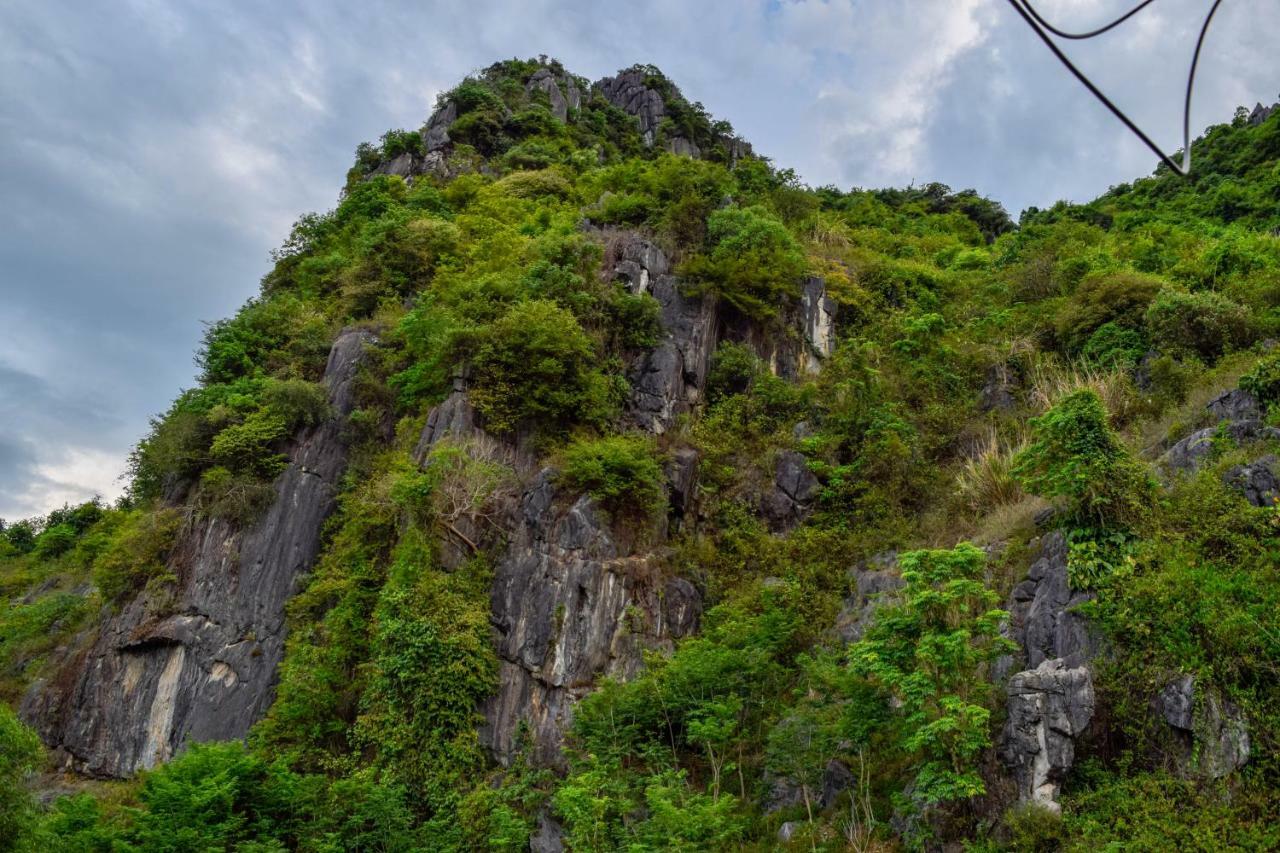 Phong Nha Orient Hotel Bagian luar foto