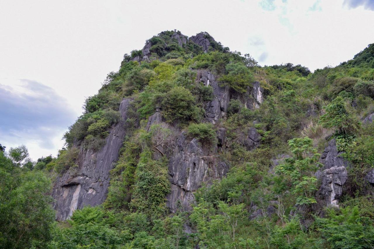 Phong Nha Orient Hotel Bagian luar foto